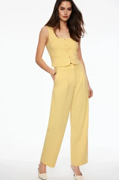 Dynamite Sofia Pleated Straight Leg Pants Yellow Flash Sale